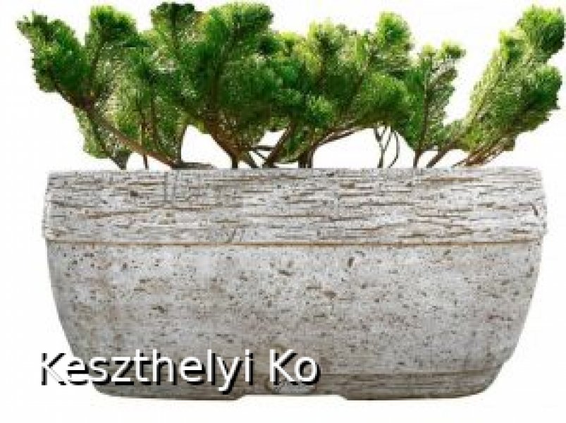 kö virágtartók,beton virágtartók,kaspó,balkonláda,virágláda,virágtartó,kaspó